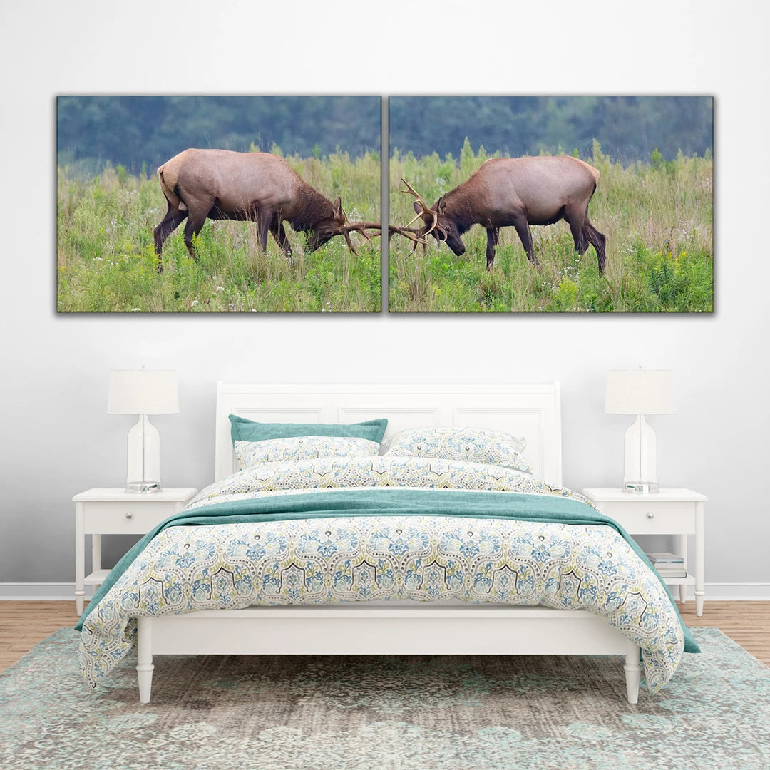 Photo Sur Toile 2 Parties Paysage