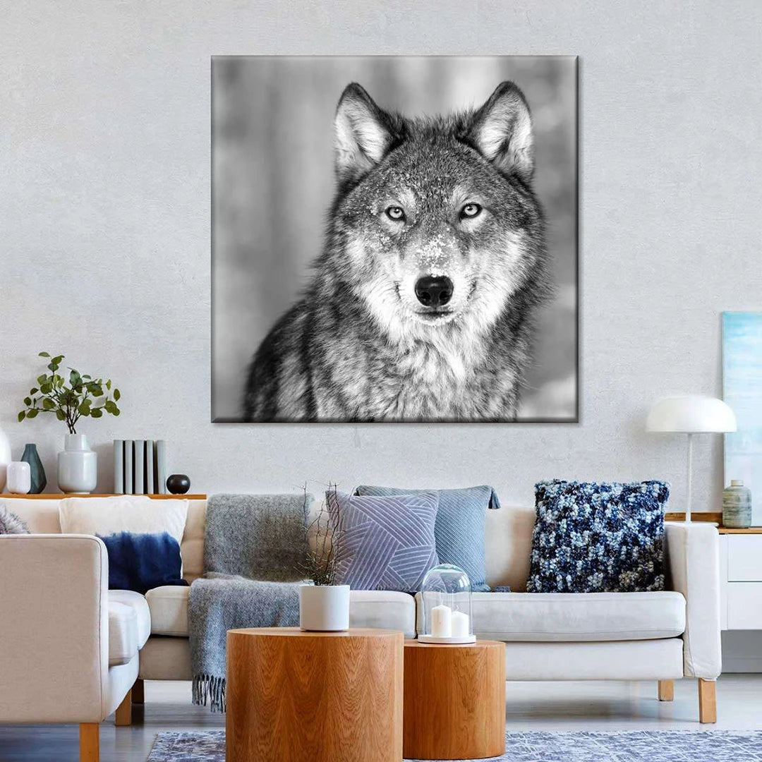 50x50cm Photo Sur Toile Carré